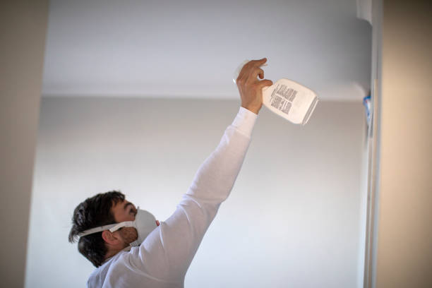 Best Local Mold Removal Service  in Chadwicks, NY