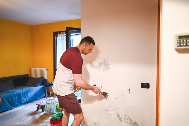 Certified Mold Removal in Chadwicks, NY